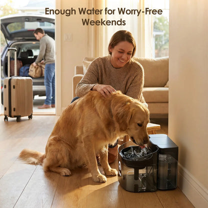 VEWO Large Dog Water Fountain – 11L No-Spill Pet Water Dispenser with Deep Bowl, Quiet BPA-Free Design for Large Breeds and Multiple Pets